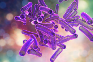The image is a close-up illustration of purple, rod-shaped Shigella bacteria. clustered against a blurred, multicolored background.
