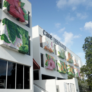 Little Havana Health Center